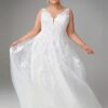 Pastrol Wedding Dresses Plus Size V Neck Sleeveless Tulle Bride Gowns for Woman Appliques Sweep Trian A-Line Robe De Mariee 2025 7 S8d9ac2d0e5474623878f640e8087ff61u Cropped